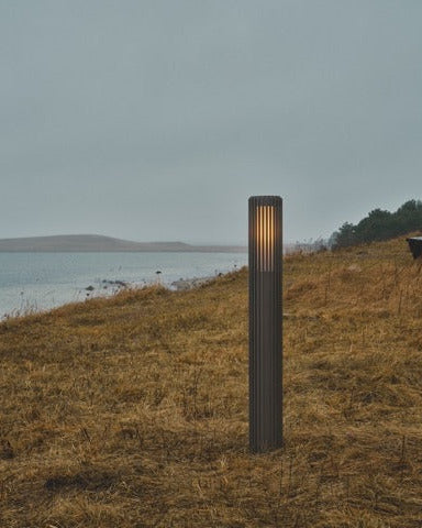 Lamp post on a grassy hill near a body of water with trees in the background